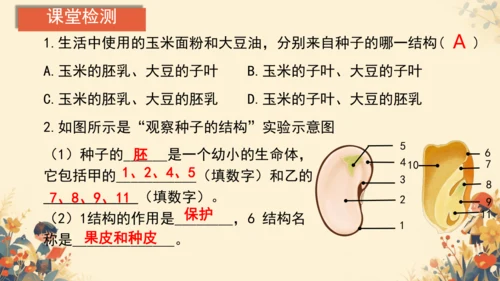 人教版（2024）七年级上册2.1.2种子植物(共20张PPT)+视频素材
