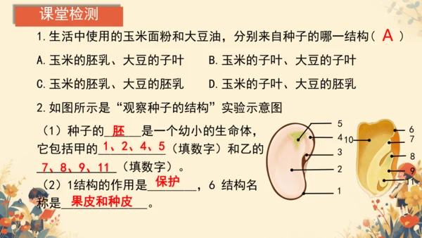 人教版（2024）七年级上册2.1.2种子植物(共20张PPT)+视频素材