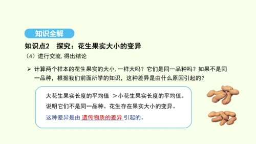 7.2.5生物的变异课件-人教版生物八年级下册(共28张PPT)