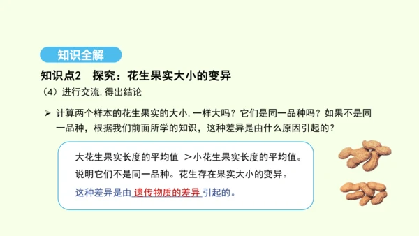 7.2.5生物的变异课件-人教版生物八年级下册(共28张PPT)