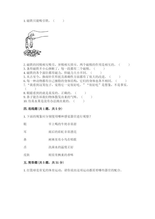 教科版小学科学二年级下册 期末测试卷含答案（培优b卷）.docx