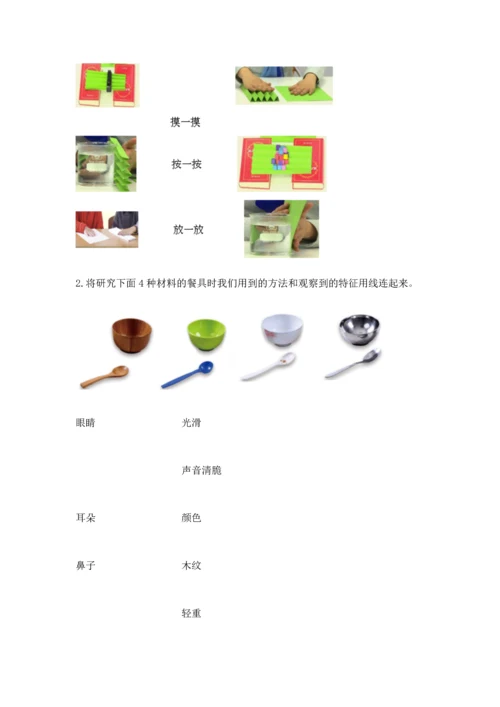 教科版科学二年级上册《期末测试卷》精品（考点梳理）.docx