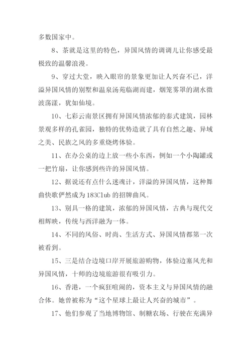 异国风情的意思.docx