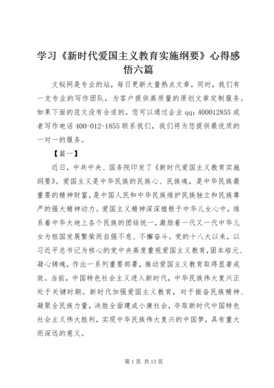 学习《新时代爱国主义教育实施纲要》心得感悟六篇.docx