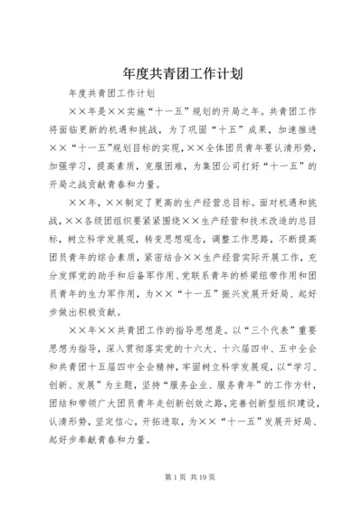 年度共青团工作计划 (4).docx