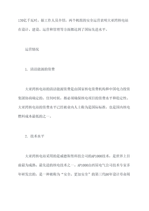 大亚湾工作报告
