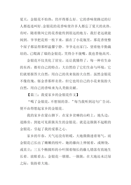 写金银花的作文600字.docx
