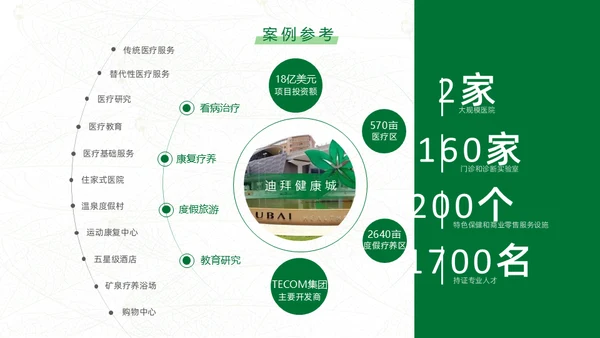 绿色生态保健品绿色产业通用PPT模板