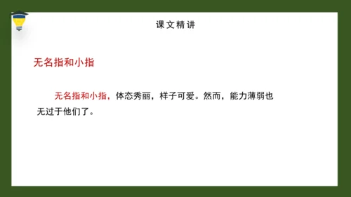 22 手指 课件