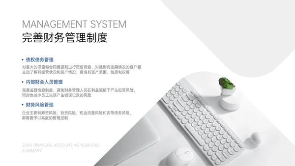 简约商务风财务会计年终总结