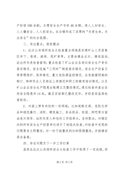 乡镇年度公共场所安全工作总结.docx