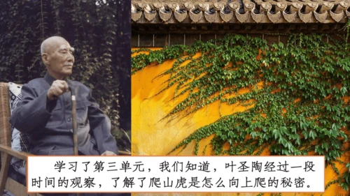 【四上课件】习作三：写观察日记