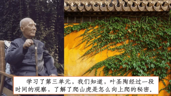 【四上课件】习作三：写观察日记