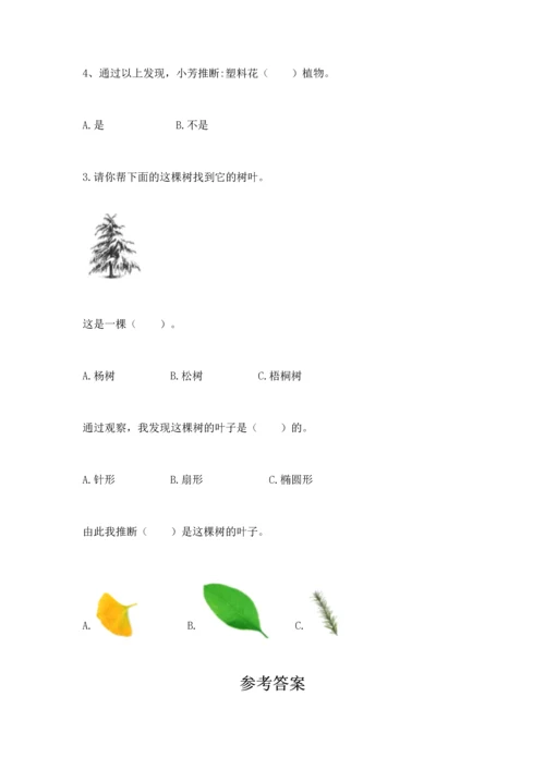 教科版科学一年级上册第一单元《植物》测试卷（夺冠系列）.docx