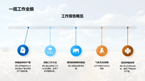 种植业半年发展回顾