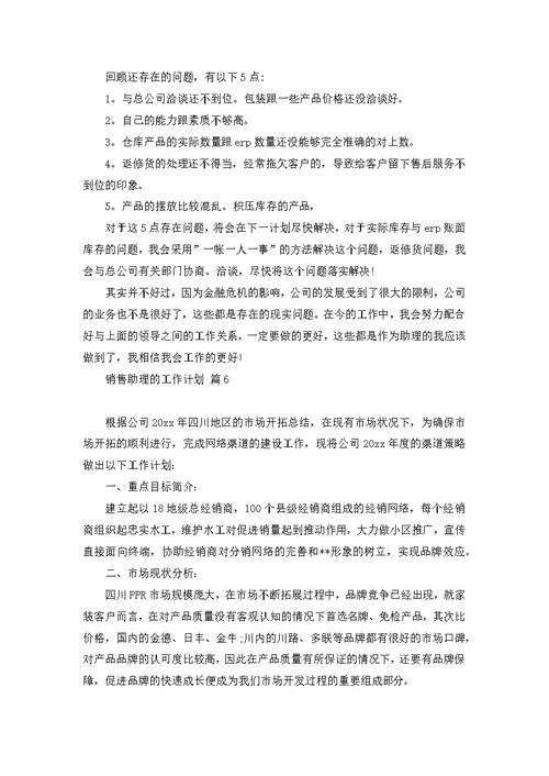 关于销售助理的工作计划模板锦集九篇