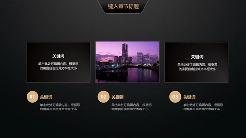 黑金轻奢商业计划书通用PPT模版