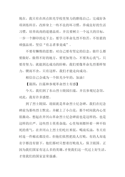 参观烈士陵园心得体会.docx