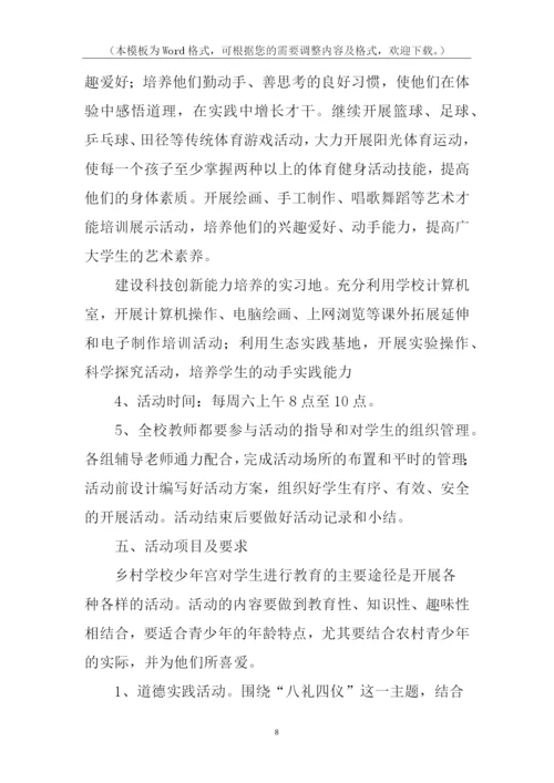 乡村学校少年宫工作计划.docx