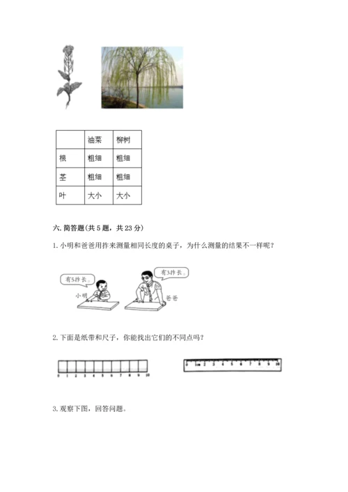 教科版小学一年级上册科学期末测试卷附答案【轻巧夺冠】.docx
