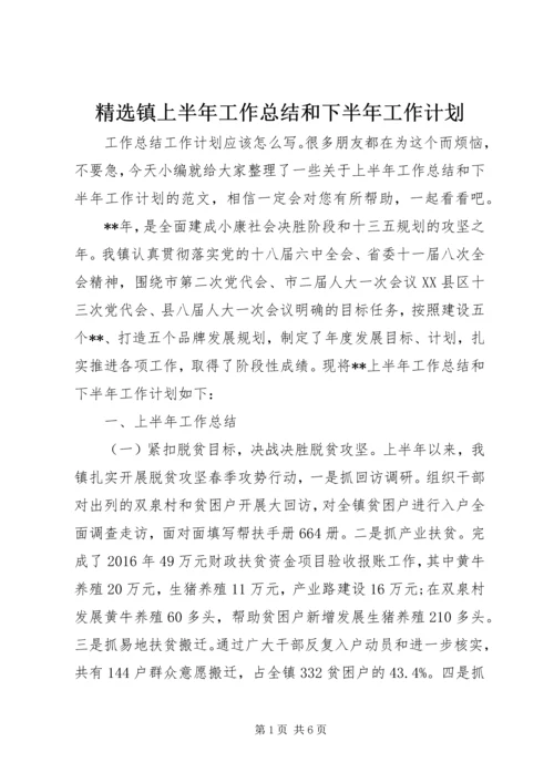 精选镇上半年工作总结和下半年工作计划.docx