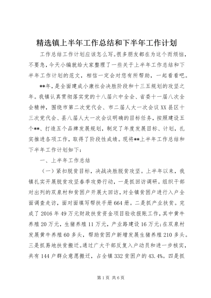 精选镇上半年工作总结和下半年工作计划.docx