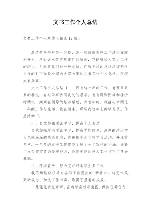 文书工作个人总结.docx