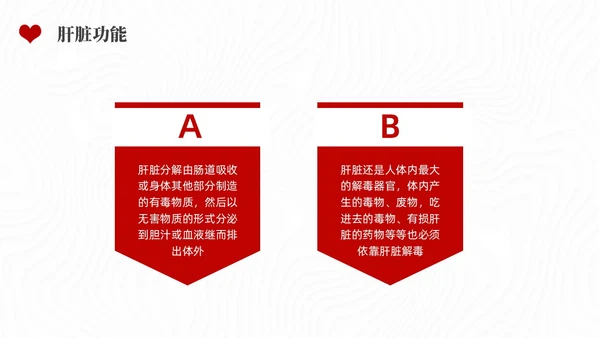 红色水彩简约插画全国爱肝日企业培训PPT课件