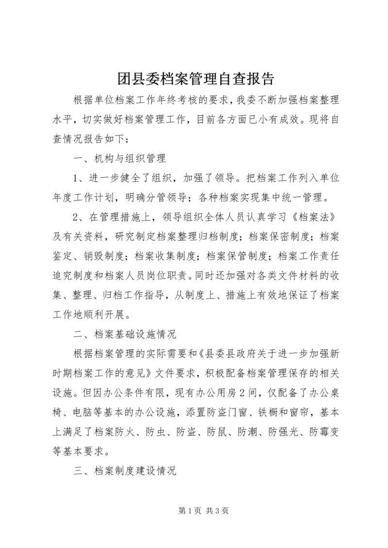 团县委档案管理自查报告.docx