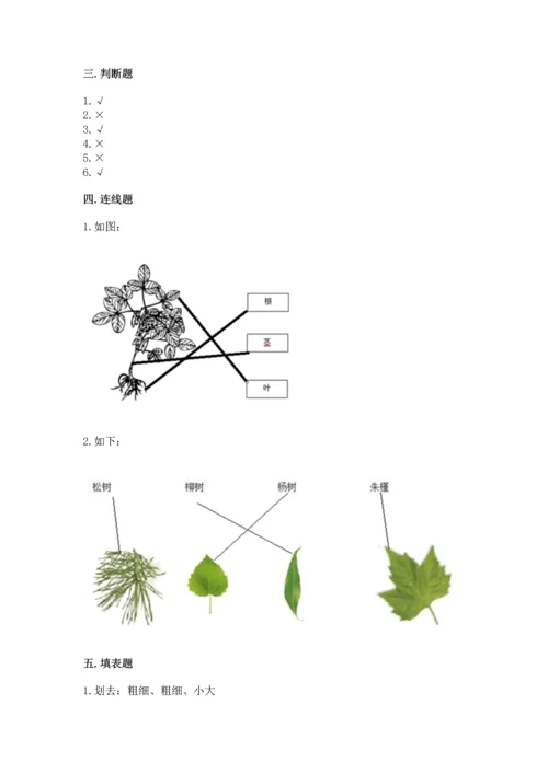 教科版科学一年级上册第一单元《植物》测试卷附答案ab卷.docx