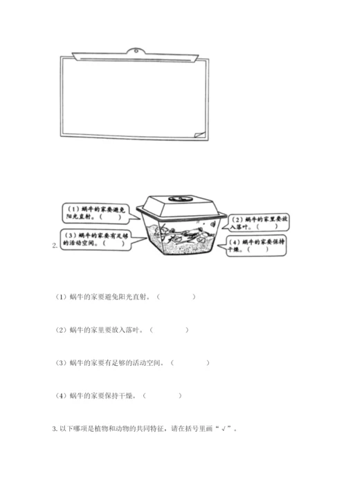教科版一年级下册科学期末测试卷精品（模拟题）.docx