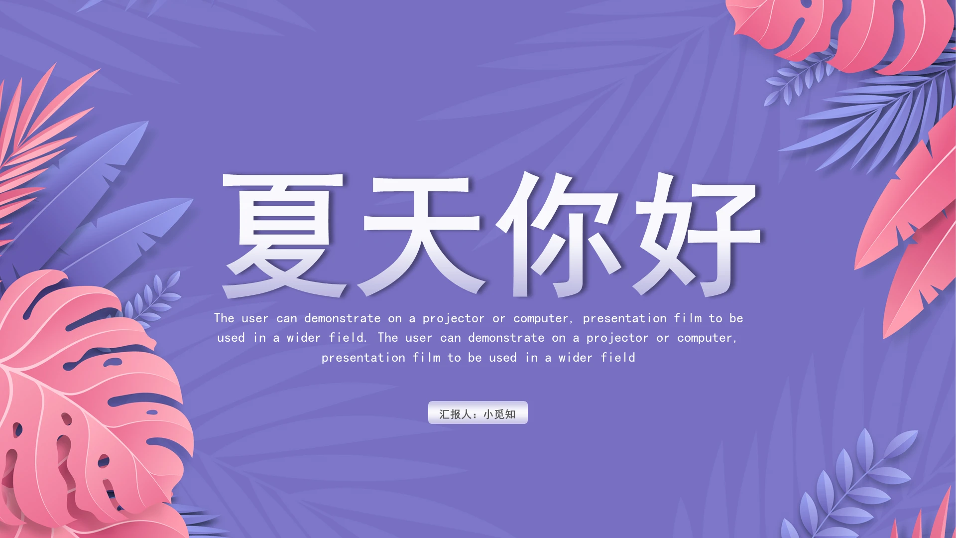 紫色简约小清新夏季工作总结PPT模板夏天你好