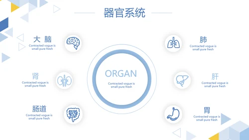 卡通简约医疗医学工作汇报动态PPT模板