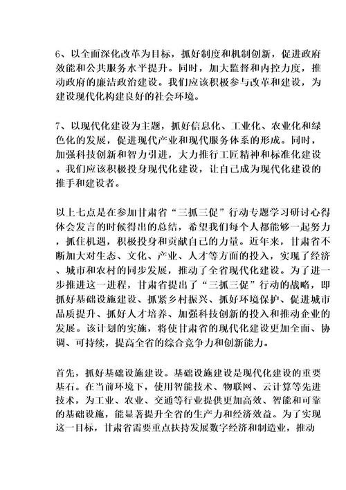 (7篇)2023年甘肃省“三抓三促行动专题学习研讨心得体会发言材料