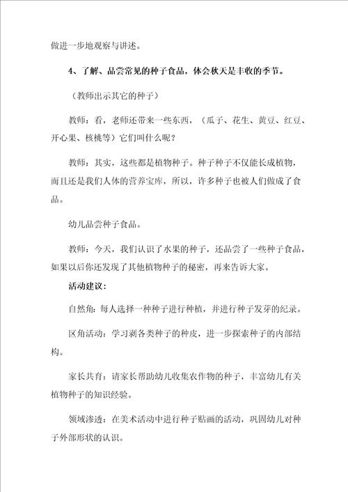 2021年种子藏在哪里教案