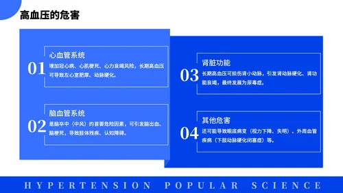 蓝色简约风全国高血压日科普PPT模板