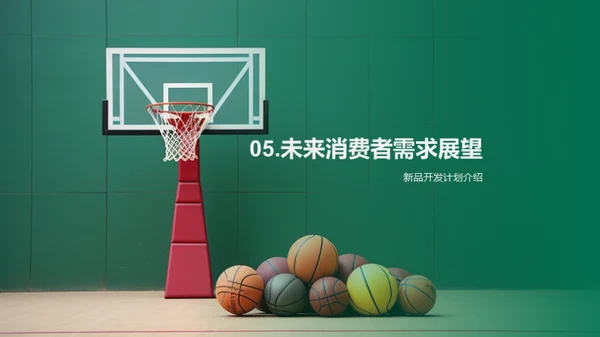 双十二体育新品策略