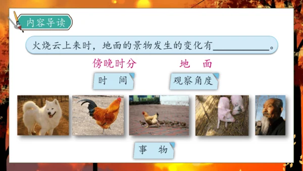 【核心素养】部编版语文三年级下册-24. 火烧云 第2课时（课件）