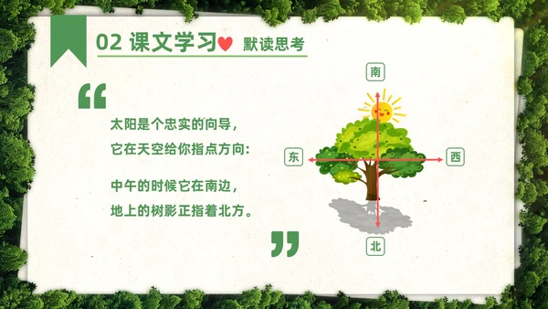 绿色简约实拍要是你在野外迷了路二年级语文下册说课PPT课件小学语文二年级下册课件