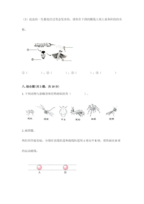 教科版小学科学三年级下册期末测试卷含完整答案（各地真题）.docx