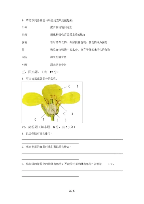 大象版四年级科学上册期中试卷及答案1套