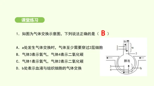 第四单元-第三章-第二节-发生在肺内的气体交换（第2课时）课件-2024-2025学年七年级生物下学