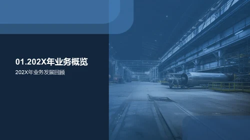 202X年度总结与展望