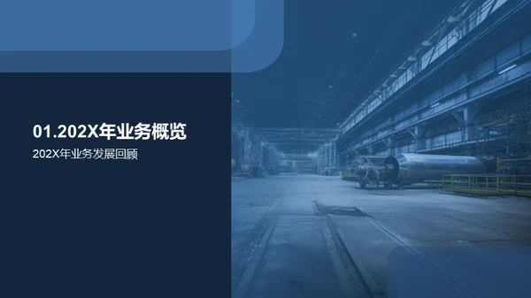 202X年度总结与展望