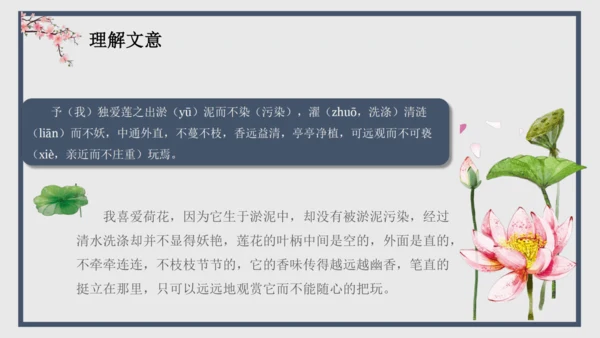 17 短文两篇《爱莲说》课件(共28张PPT)