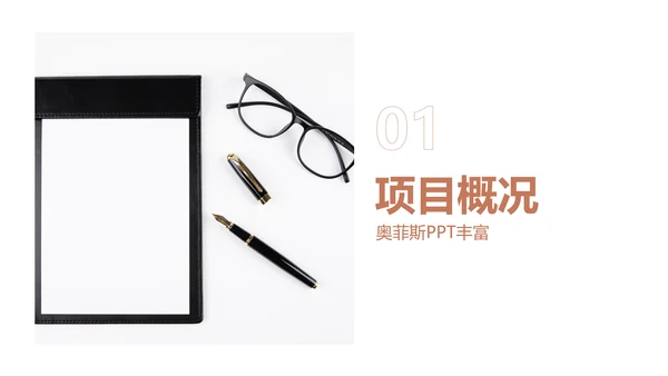 简约欧美风粉色工作汇报计划书PPT