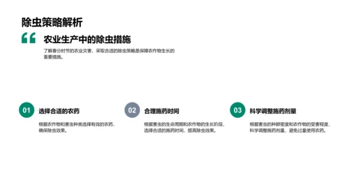 春分农事应对策略PPT模板