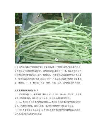 屋顶菜园的设计与施工要点