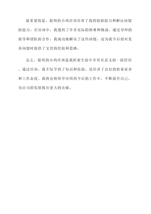 聪明的小鸡培训感想