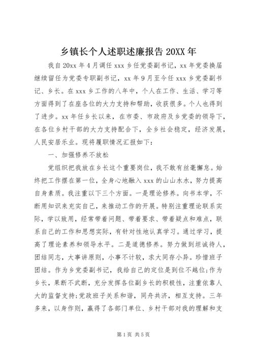 乡镇长个人述职述廉报告某年.docx